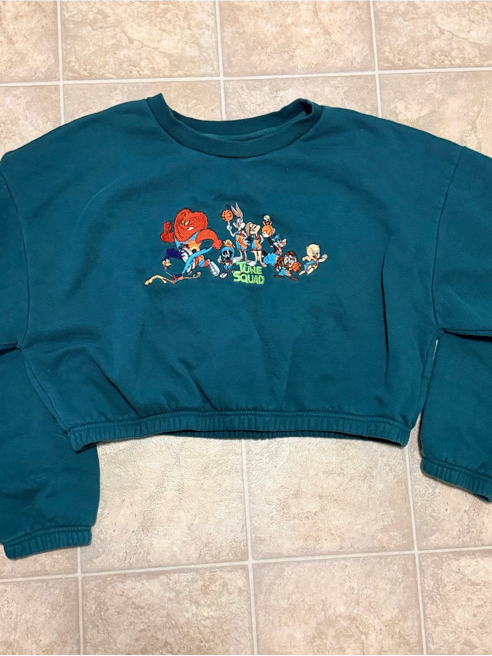 Tune Squad Cropped Sweatshirt